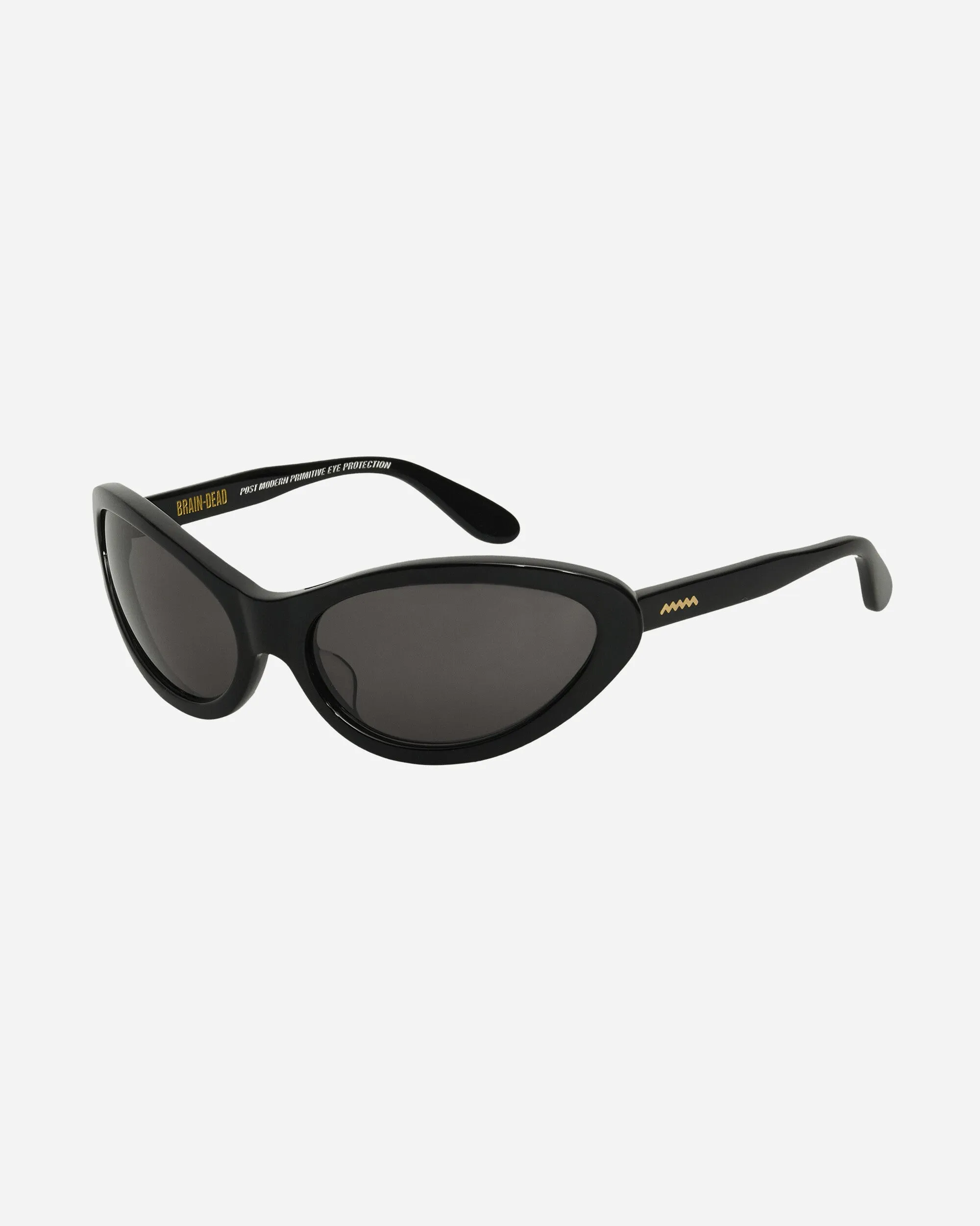 Bug Post Modern Primitive Eye Protection Sunglasses Black